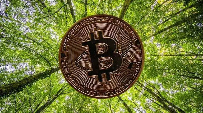 Carbon Footprint of Cryptocurrencies